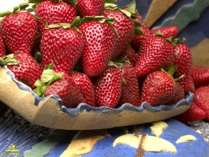 Mateo & Sinova strawberries 3