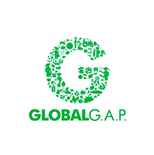 Certificación global GAP de Agro Paracas